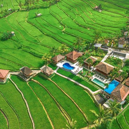 Villa Sande Munduk  Ngoại thất bức ảnh