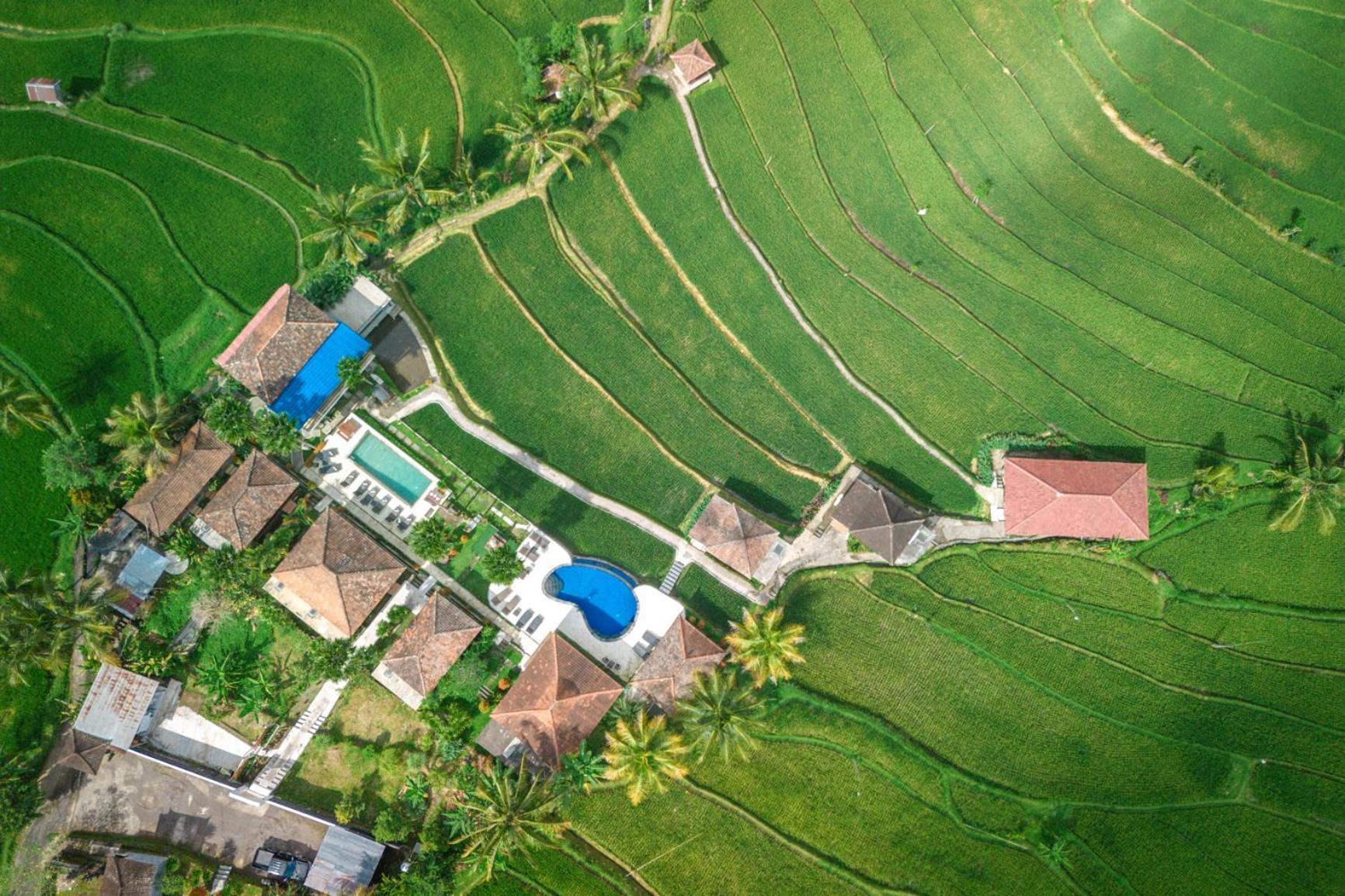 Villa Sande Munduk  Ngoại thất bức ảnh