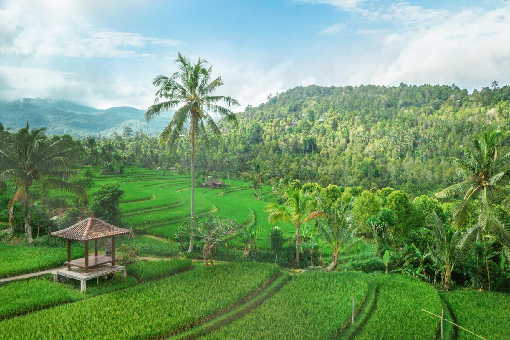 Villa Sande Munduk  Ngoại thất bức ảnh