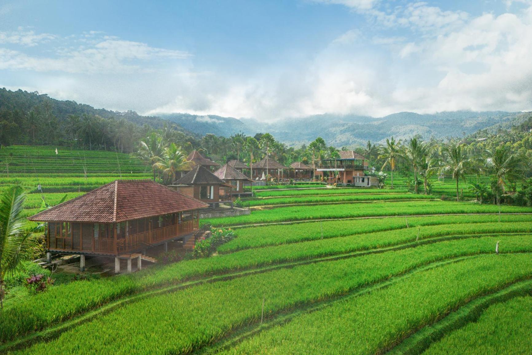 Villa Sande Munduk  Ngoại thất bức ảnh