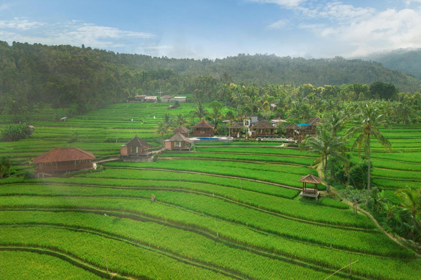 Villa Sande Munduk  Ngoại thất bức ảnh